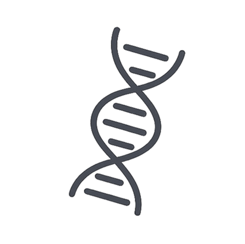 icon - /uploads/s/a/n/n/annfww2y4vc4/img/full_e9idq503.png